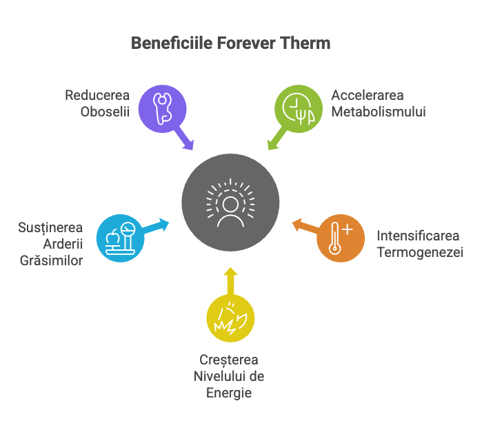 Infografic: Beneficiile Forever Therm – reducerea oboselii, accelerarea metabolismului, intensificarea termogenezei, creșterea nivelului de energie, susținerea arderii grăsimilor.